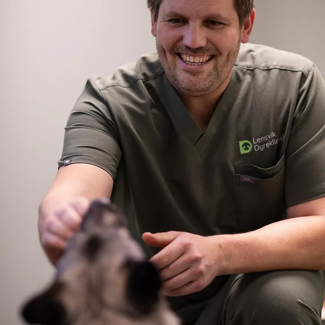 Menneske sammen med dyr