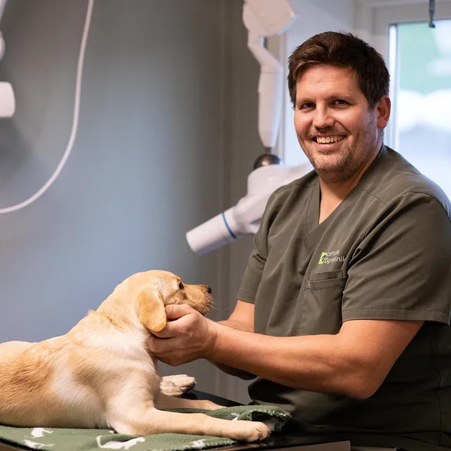 Person ved siden av hund