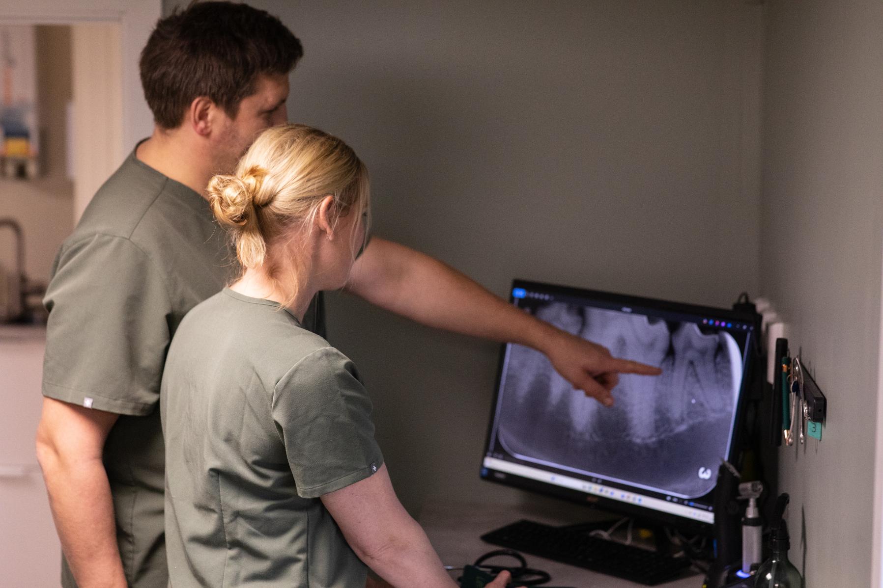 To veterinærer diskuterer røntgenbilde av tenner