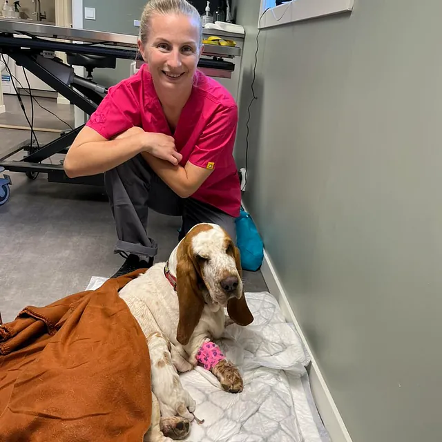 Person sammen med hund